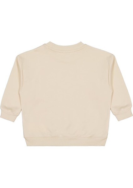 Trex Baskılı 2-5 Yaş Sweatshirt fiyatları