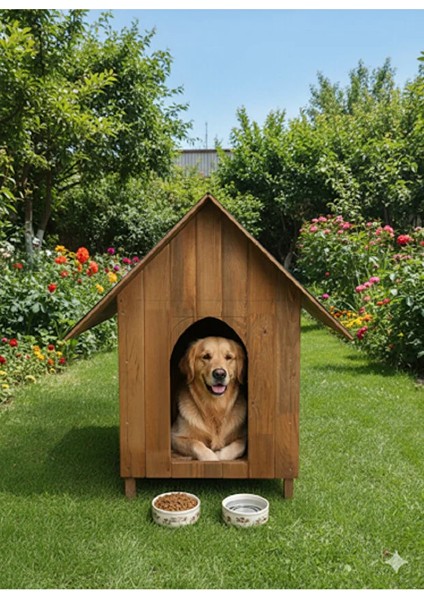 Orta Boy Irk Köpekler Için Doğal Ahşap Kulübe Dış Mekan Köpek Evi