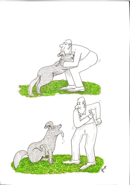 Borislav Hegedusic 29X21CM Orijinal Karikatür Tablo modelleri