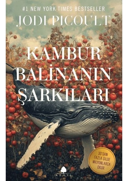 Kambur Balinanın Şarkıları