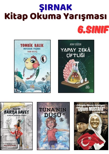 Şırnak Kitap Okuma Yarışması 6.sınıf Kitapları, 5 Kitap Set, 6.sınıf Masal Öykü