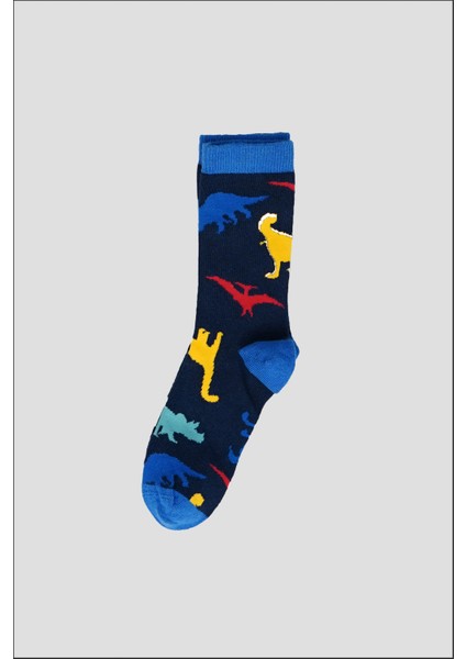 4 Çift Mevsimlik Erkek Çocuk Soket Çorap modelleri