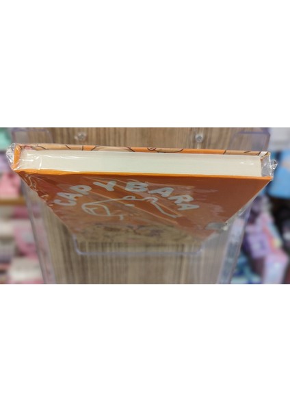 Ciltli Sert Kapak Kilitli Ajanda Günlük Çok Amaçlı A5 Boyutunda Çizgili Defter Capybara Figürlü Ad7 fiyatları