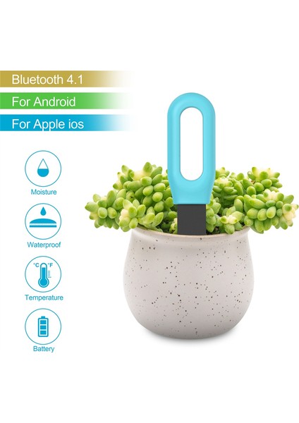 2pcs Tava Bt 2 1 Kablosuz Toprak Nem Metre Bitkisi Toprak Sıcaklığı Nemi Monitör Saksı Bitki Ölçüm Cihazı (Yurt Dışından) fırsatları