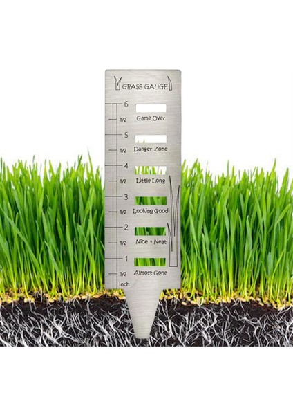 Çim Çim Göstergesi - Paslanmaz Çelik Çim Göstergeleri Bahçe Çim Gösterileri Hediyeler Için Göstergeler, Çim Aracı Yard Peyzaj Tesisi 2 Pcs (Yurt Dışından) modelleri