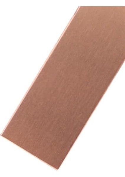 Saf Bakır Anot 2 Adet, 6 x 1 x 0.04 Inç (19 Ga)% 99.95 Yüksek Saflıkta Bakır Elektrot Şeritleri Saf Bakır Shee (Yurt Dışından) indirimleri