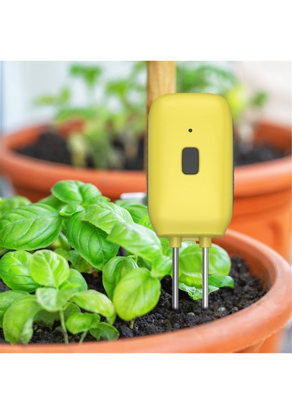 Bluetooth Toprak Test Cihazı Sıcaklık Nem Testi Ölçüm Müdürü Saksı Bitki Nemi Ölçüm Enstrüman Uygulama Kontrolü (Yurt Dışından) indirimleri