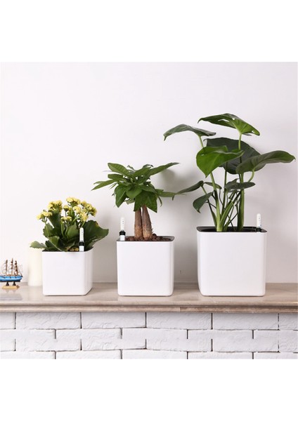 5 Adet Su Seviyesi Sayaç Şamandıra Su Kıtlığı Hatırlatıcı Sera Bitki Su Seviyesi Göstergesi Kapalı Toprak Nem Ölçer (Yurt Dışından) fırsatları