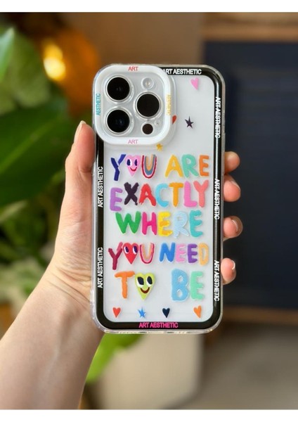 Iphone 14 Promax Uyumlu Baskı Tasarımlı Şeffaf Kılıf fiyatları
