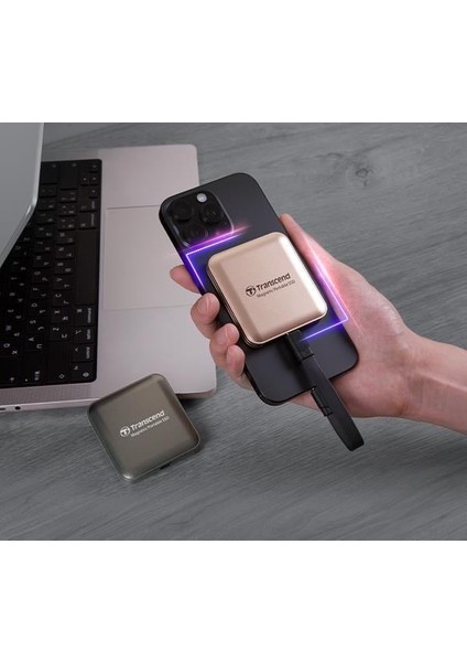 ESD420 Portable 1tb Magsafe Siyah SSD (TS1TESD420C) indirimleri