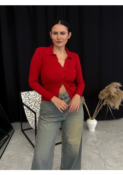 Polo Yaka Triko Kazak modelleri