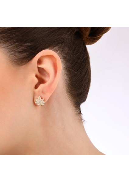 Altın Tasarım Küpe - 14K modelleri