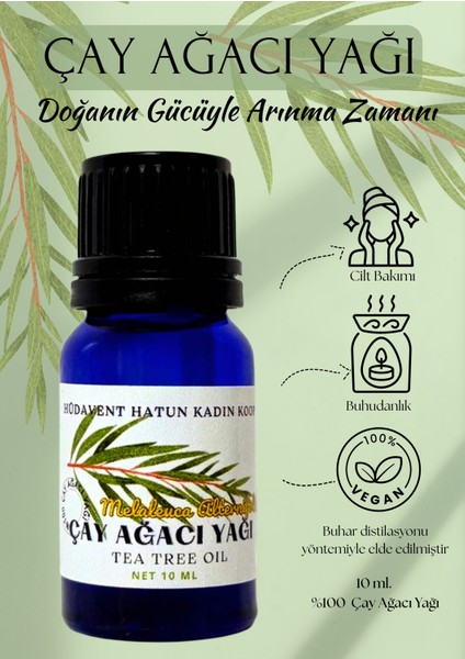Çay Ağacı Yağı