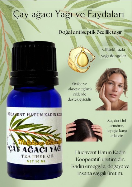 Çay Ağacı Yağı fiyatları