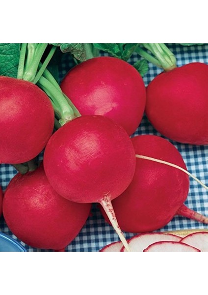 Renkli Kök Sebzeler Ikili Tohum Seti, Nantes Havuç ve Kırmızı Turp modelleri