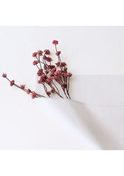 Pelur Kağıdı 50X70 Cm, Beyaz 50 Adet modelleri