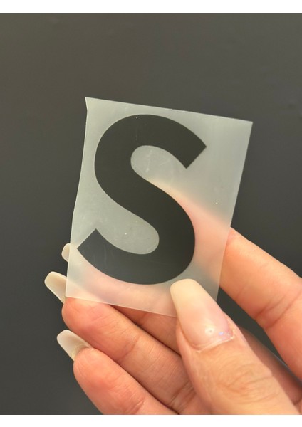 2 Li Ütü Ile Yapışan S Harfi Arma Transfer Baskı 5x4 cm fiyatları