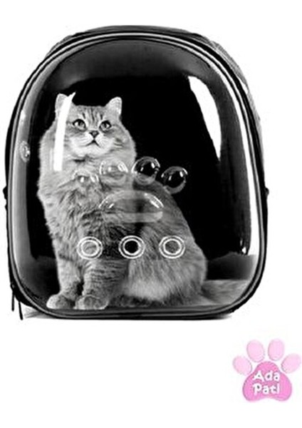 kedi taşıma çantası - astronot kedi taşıma çantası