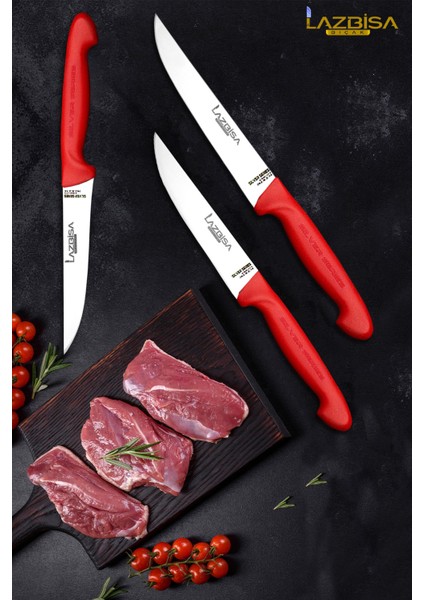 Silver Serisi Mutfak Bıçak Seti Et Ekmek Sebze Meyve Bıçağı 3 Lü Set Günlük Kullanım Hds-82