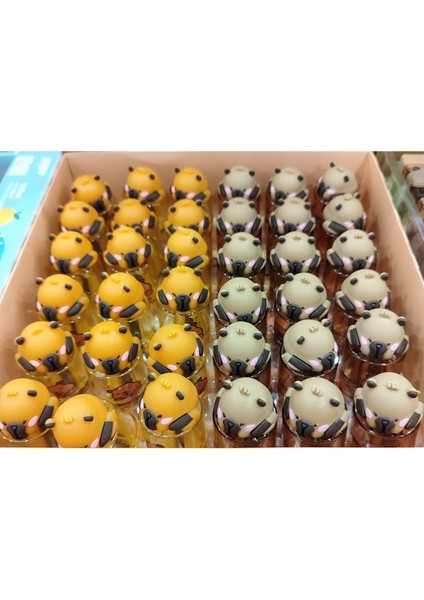 Capybara Figürlü Kapaklı Kalemtraş 2 Adet AD29984 fiyatları