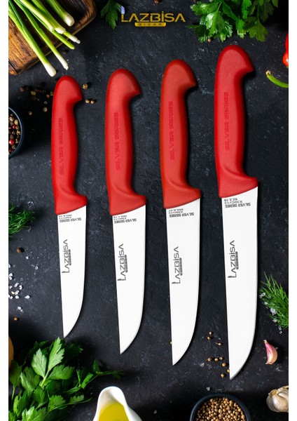 Silver Serisi Mutfak Bıçak Seti Et Ekmek Sebze Meyve Bıçağı 4 Lü Set Hds-79