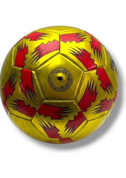 BSF-888-26 5 Numara Dikişli Futbol Topu fiyatları