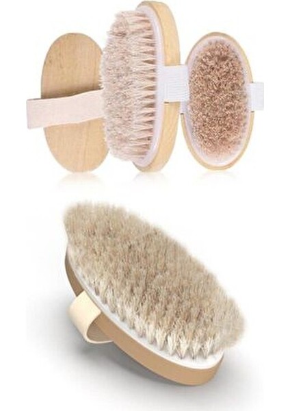 Doğal At Kılı Fırçası Selilüt Önleyici