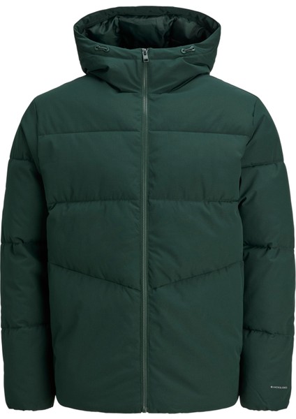 Erkek Kapüsonlu Puffer Ceket - Global