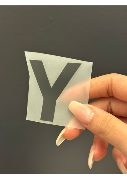2 Li Ütü Ile Yapışan Y Harfi Arma Transfer Baskı 5x4 cm indirimleri