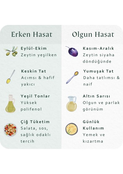 Natürel Sızma Zeytinyağı - Erken Hasat 250 ML modelleri