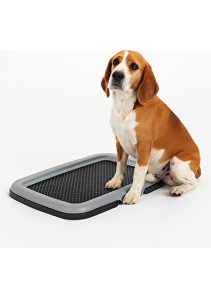 PT-310 Akıllı Kedi Köpek Wc