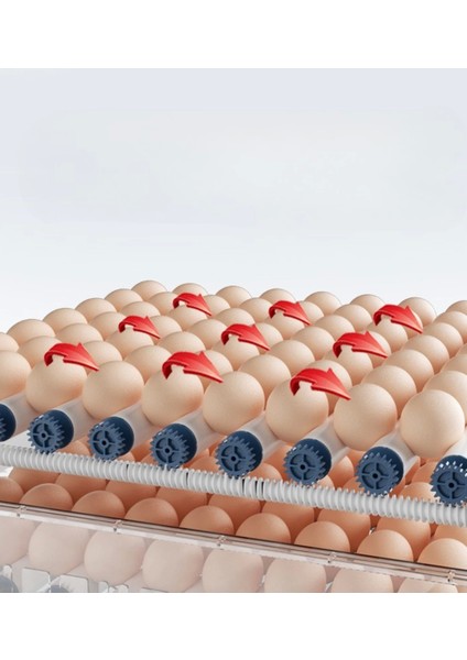 120 Yumurta Kapasiteli Tam Otomatik Kuluçka Makinesi - Civciv, Kaz, Hindi ve Ördek Yetiştiriciliği EPO-W120 Yedek Motorlu ( Lisinya )