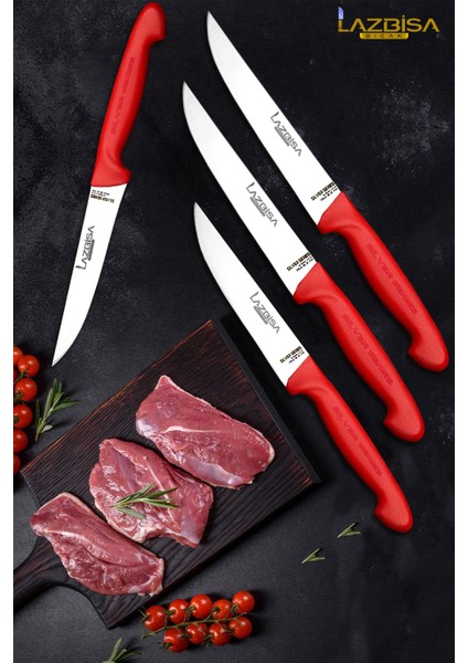 Silver Serisi Mutfak Bıçak Seti Et Ekmek Sebze Meyve Bıçağı 4 Lü Set Günlük Kullanım Hds-83