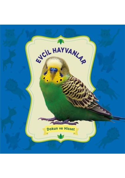 Evcil Hayvanlar - Dokun ve Hisset