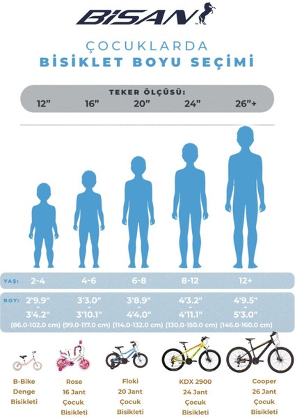 Bisan Queen Çocuk Bisikleti 30 cm V Fren 20 Jant 1 Vites Metalik Lila Pembe