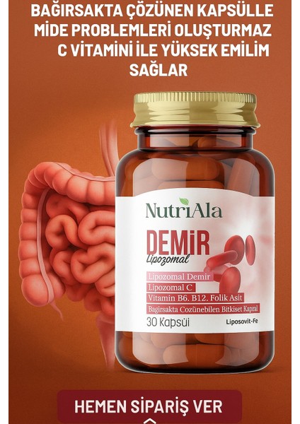 Lipozomal Demir 30 Bitkisel Kapsül fiyatları