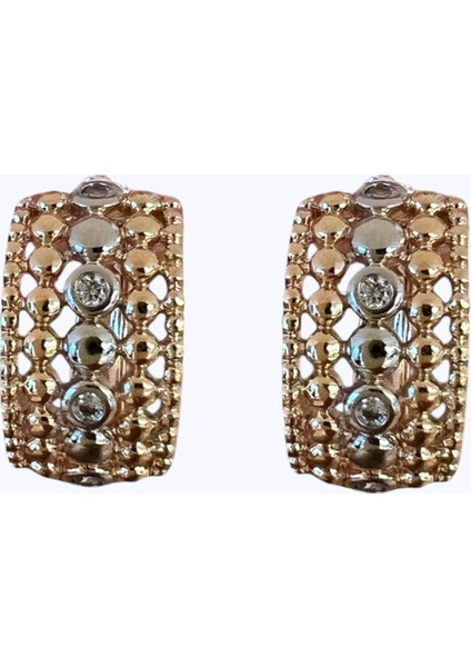 Helen Zirkon Taşlı Çelik Kadın Küpe