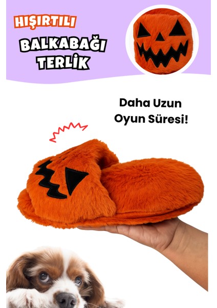 Cadılar Bayramı Temalı Köpek Oyuncak Seti | Hışırtılı Peluş Terlik, Peluş Örümcek ve Göz Oyun Topu modelleri
