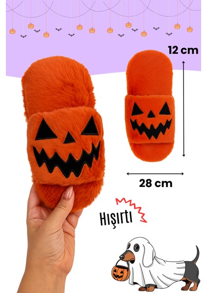 Cadılar Bayramı Temalı Köpek Oyuncak Seti | Hışırtılı Peluş Terlik, Peluş Örümcek ve Göz Oyun Topu fırsatları