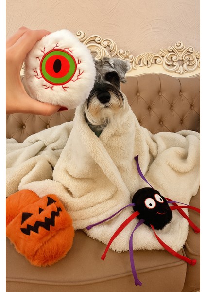 Cadılar Bayramı Temalı Köpek Oyuncak Seti | Hışırtılı Peluş Terlik, Peluş Örümcek ve Göz Oyun Topu indirimleri