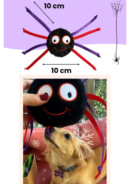 Cadılar Bayramı Temalı Köpek Oyuncak Seti | Hışırtılı Peluş Terlik, Peluş Örümcek ve Göz Oyun Topu