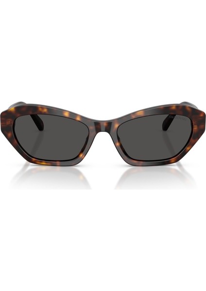 Güneş Gözlüğü SK6048 54 100287 fırsatları