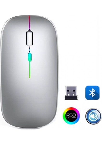 ZR215 Cba100 Rgb Gümüş Şarjlı Mouse