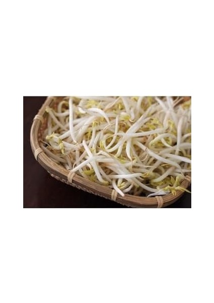 De&co Fasülye Filizi 400 gr fiyatları