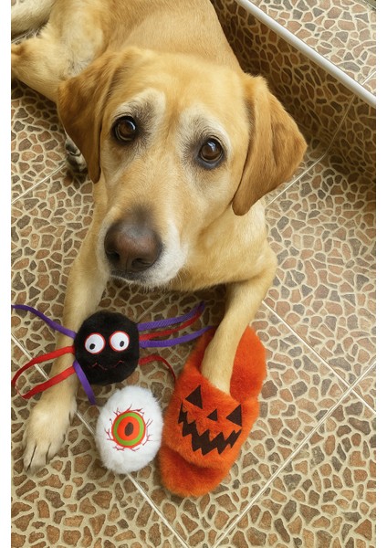 Cadılar Bayramı Temalı Peluş Terlik Köpek Oyuncağı | Hışırtı Sesli Aktivite Oyuncağı modelleri