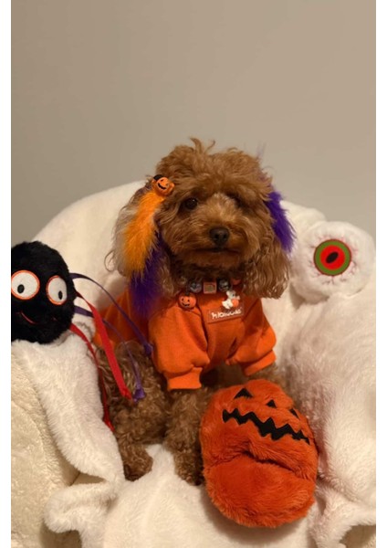 Cadılar Bayramı Temalı Peluş Terlik Köpek Oyuncağı | Hışırtı Sesli Aktivite Oyuncağı indirimleri