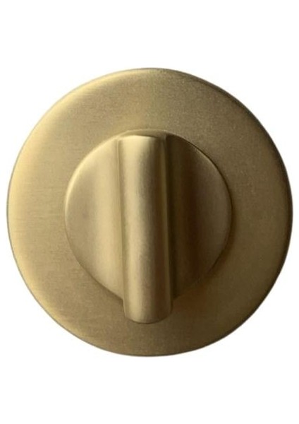 RO12 Kapı Kolu Rozeti Wc Gold Branch 52X52X9 mm