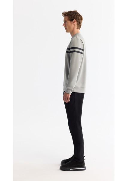 Erkek Gri Bisiklet Yaka Pamuklu Baskılı Elastan Regular Fit Sweatshirt A42Y1284