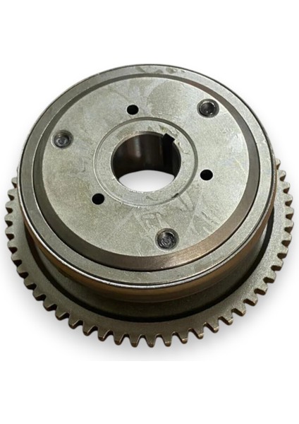 Wıldcat Marş Kitlemesi ve Dişlisi