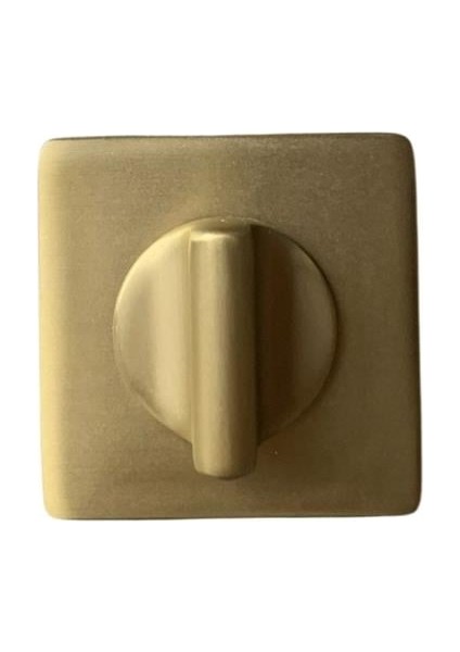 RO11 Kapı Kolu Rozeti Wc Gold Branch 52X52X9 mm